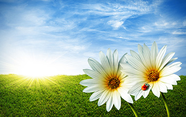 Der Frühling ist da!
Der Frühling ist da!