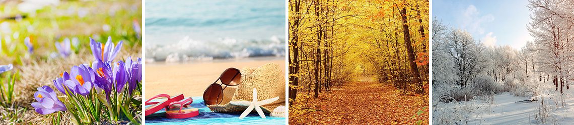 Gesund im ganzen Jahr